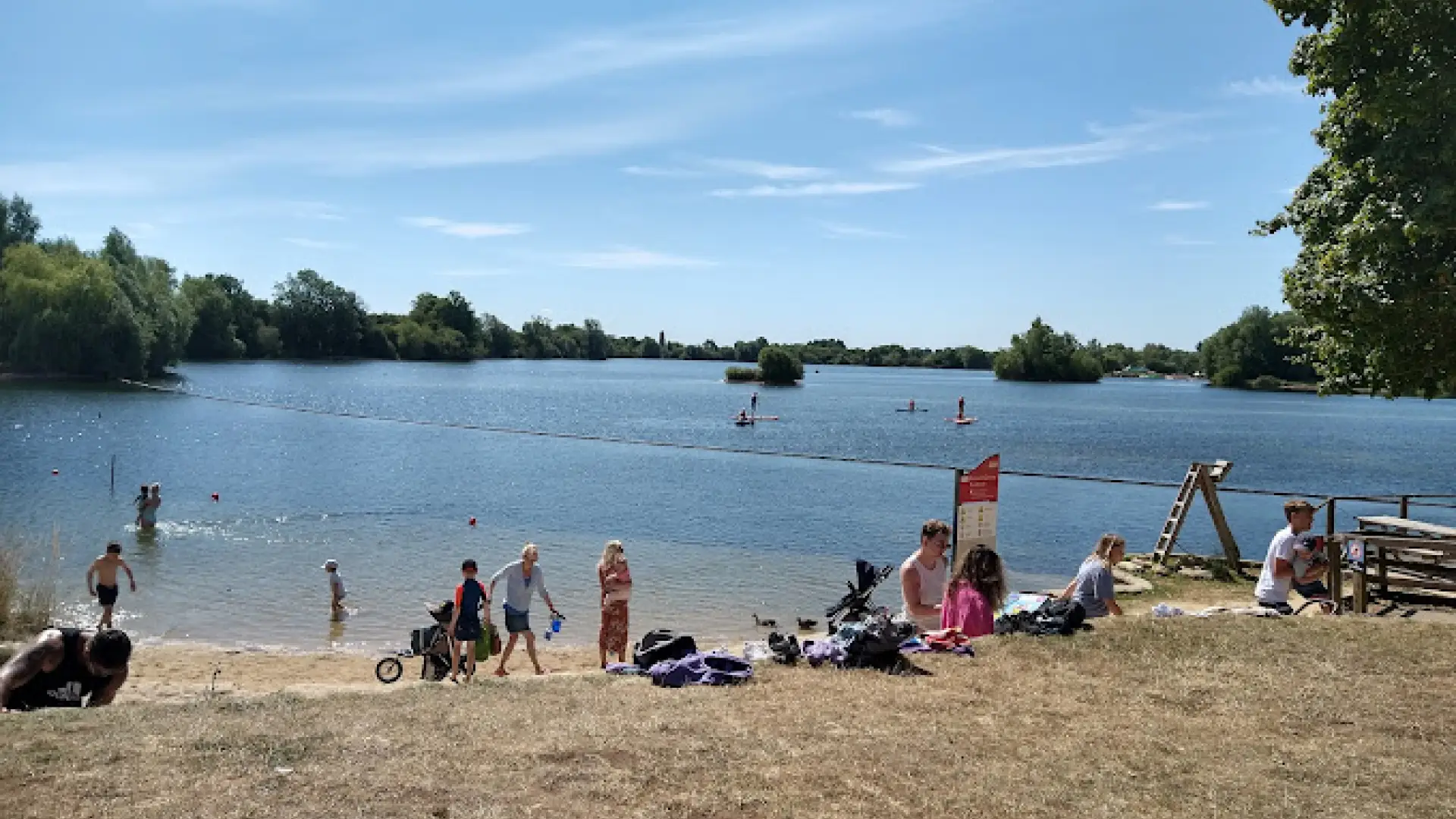 View of families paddling, swimming, and paddleboarding at Cotswold Country Park and Beach on a sunny day, with grassy bank and clear blue water.