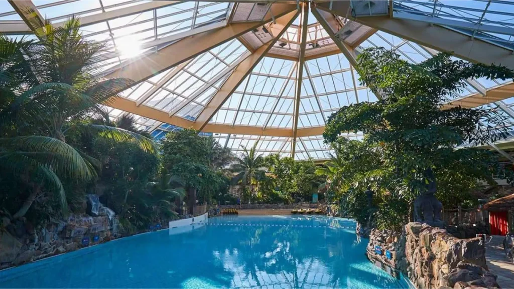 Indoor wave pool at the Subtropical Swimming Paradise at Center Parcs in Longleat water park, featuring a large glass roof, palm trees, and tropical decor in a climate-controlled environment.