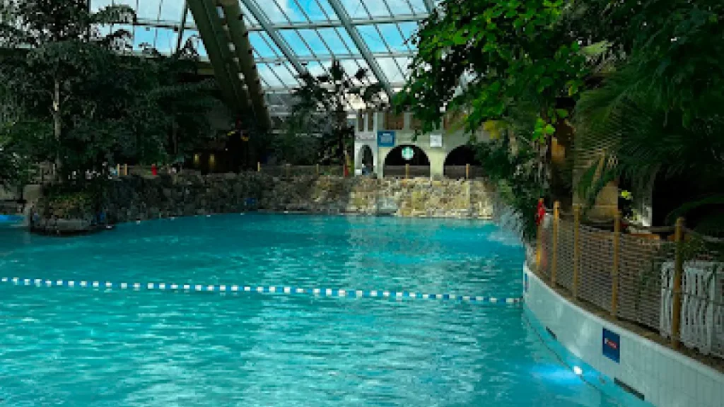 Crystal-clear water in the indoor tropical pool at Center Parcs Elveden Forest, surrounded by palm trees and rainforest-themed architecture.