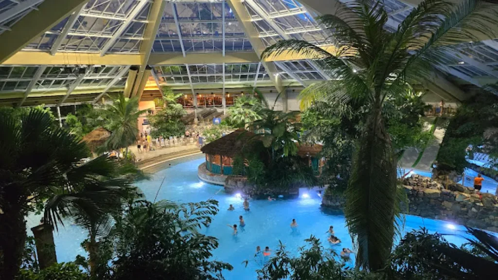 Families enjoying an evening swim in the illuminated indoor tropical pool at Center Parcs Elveden Forest, surrounded by palm trees and lush greenery.