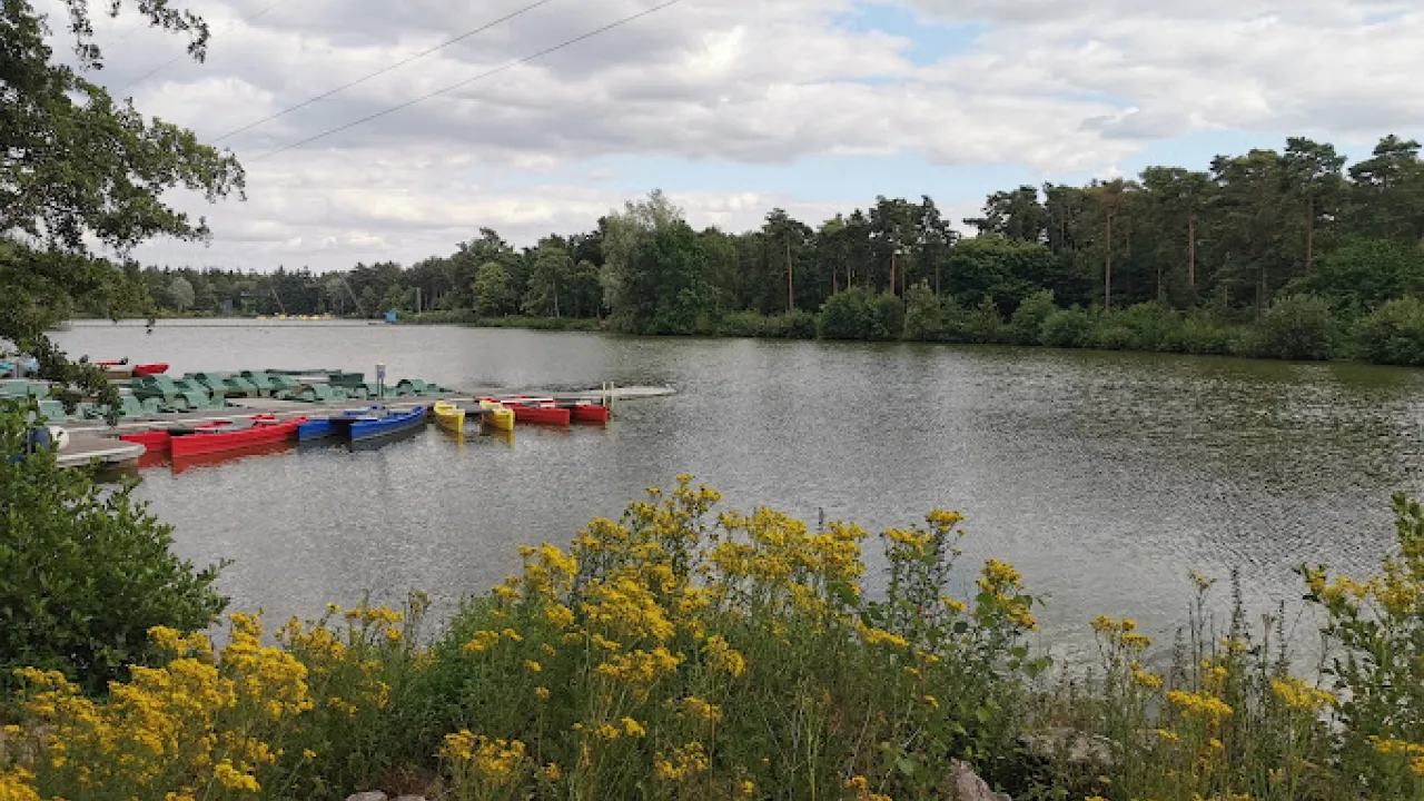 Docked red, yellow, and blue canoes on the tranquil lake at Center Parcs Elveden Forest, with wildflowers and forest views in the background.