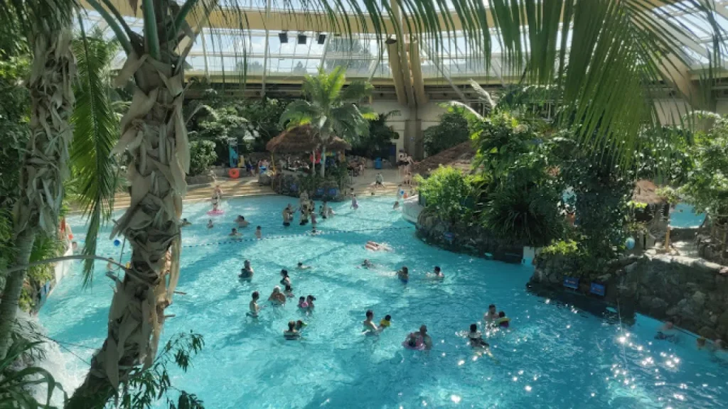 Families swimming and playing in the indoor wave pool at Center Parcs Elveden Forest, surrounded by palm trees and lush tropical plants.