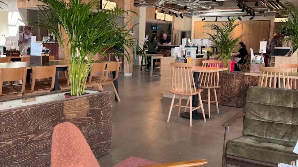 Interior view of the Canteen at Lost Shore Surf Resort in Edinburgh, featuring wooden furniture, potted plants, modern lighting, and a relaxed café-style atmosphere.
