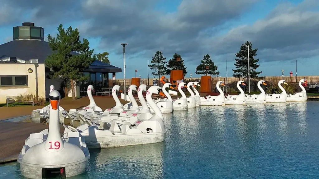 Multiple swan pedal boats docked at Pickie Funpark lagoon near Pickie Café in Bangor, Northern Ireland.