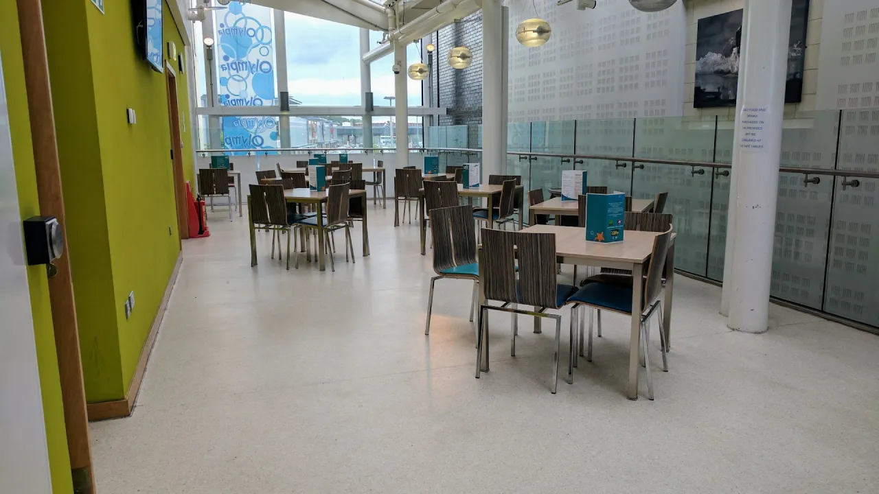 Bright café seating area at Dundee Olympia Leisure Pool with multiple tables and chairs, hanging lights, large windows, and a glass balustrade overlooking the atrium.